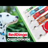 Ошейник для собак Red Dingo ярко-розовый Paws 24-36 см, 15 мм | S