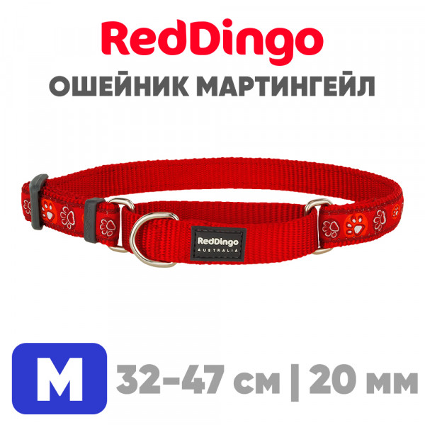 Ошейник-мартингейл Red Dingo красный Paws 32-47 см, 20 мм | M